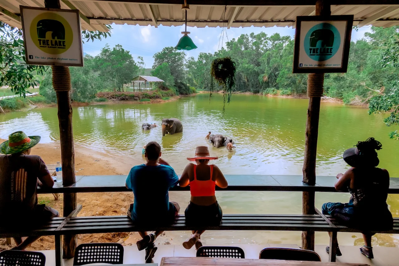 Guests on the viewing deck watching elephants bathe in the lake at The Lake Phuket Elephant Home