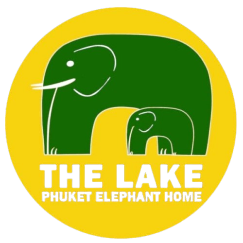 The Lake Phuket Elephant HOME