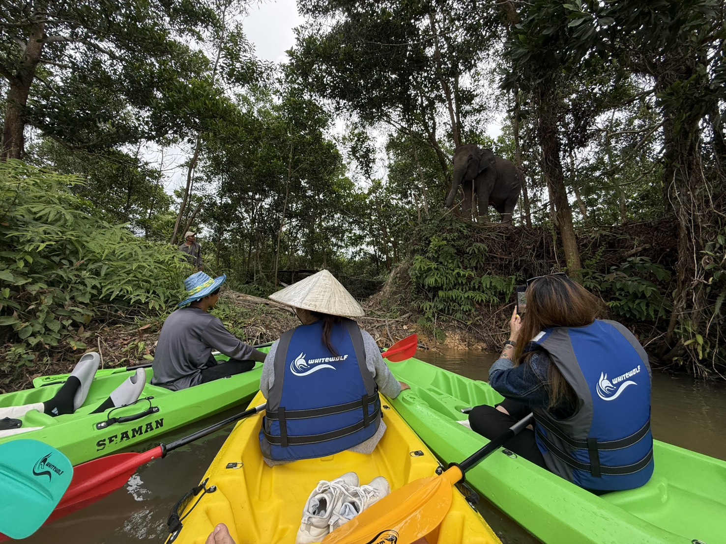 Guests in kayaks observing an elephant from the water at The Lake Phuket Elephant Home